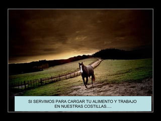 SI SERVIMOS PARA CARGAR TU ALIMENTO Y TRABAJO
           EN NUESTRAS COSTILLAS….
 