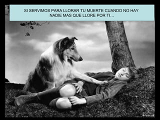 SI SERVIMOS PARA LLORAR TU MUERTE CUANDO NO HAY
           NADIE MAS QUE LLORE POR TI…
 