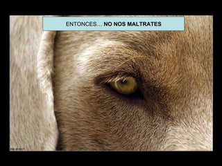ENTONCES… NO NOS MALTRATES
 