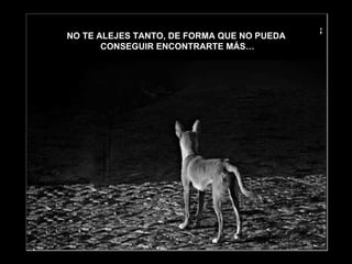 NO TE ALEJES TANTO, DE FORMA QUE NO PUEDA
       CONSEGUIR ENCONTRARTE MÁS…
 