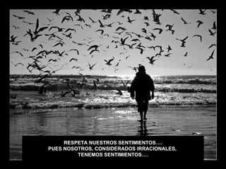 RESPETA NUESTROS SENTIMIENTOS….
PUES NOSOTROS, CONSIDERADOS IRRACIONALES,
         TENEMOS SENTIMIENTOS….
 