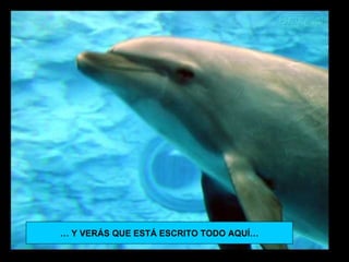 … Y VERÁS QUE ESTÁ ESCRITO TODO AQUÍ…
 