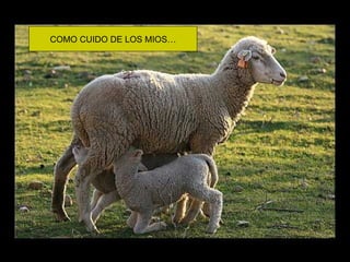 COMO CUIDO DE LOS MIOS…
 