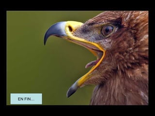 EN FIN…
 