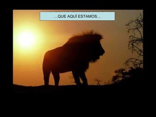 …QUE AQUÍ ESTAMOS…
 