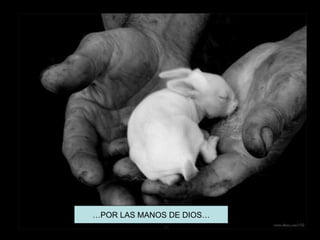 …POR LAS MANOS DE DIOS…
 
