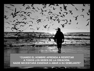 “CUANDO EL HOMBRE APRENDA A RESPETAR
       A TODOS LOS SERES DE LA CREACIÓN,
NADIE NECESITARÁ ENSEÑAR A AMAR A SU SEMEJANTE”
 