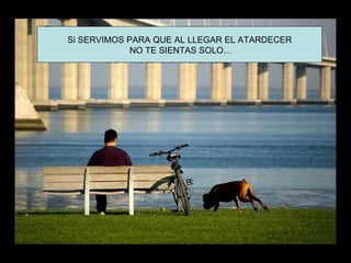 Si SERVIMOS PARA QUE AL LLEGAR EL ATARDECER
             NO TE SIENTAS SOLO…
 