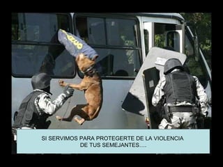 SI SERVIMOS PARA PROTEGERTE DE LA VIOLENCIA
            DE TUS SEMEJANTES….
 
