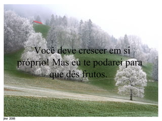    Você deve crescer em si próprio! Mas eu te podarei para que dês frutos.  