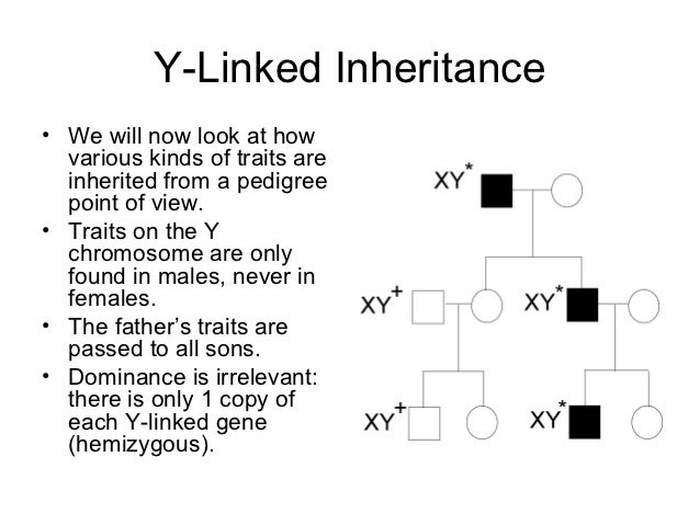 pedigree linked disorders in humans chart