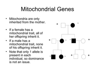 Pedigree | PPT