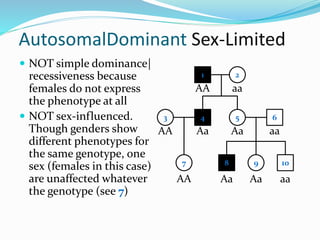 AutosomalDominant Sex-Limited
 NOT simple dominance|
recessiveness because
females do not express
the phenotype at all
 NOT sex-influenced.
Though genders show
different phenotypes for
the same genotype, one
sex (females in this case)
are unaffected whatever
the genotype (see 7)
1 2
4 53
7
6
8
AA aa
Aa AaAA
AA Aa
aa
9
Aa
10
aa
 