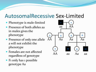 AutosomalRecessive Sex-Limited
 Phenotype is male-limited
 Presence of both alleles aa
in males gives the
phenotype
 Presence of only one allele
a will not exhibit the
phenotype
 Females are not affected
regardless of genotype
 F1 only has 1 possible
genotype Aa
1 2
4 53
7
6
8 9 10
aa AA
Aa AaAA
AA aa
Aa
Aa aa
 
