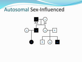 Autosomal Sex-Influenced
1 2
4 53
7
6
8 9 10
AA aa
 