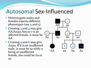 Autosomal Sex-Influenced
 Heterozygote males and
females express different
phenotypes (see 4 and 5)
 Crossing 3 and 4 may give
AA|Aa|aa, but as 7 is an
affected female, it must be
AA
 Crossing 5 and 6 may give
Aa|aa. If 8 is an unaffected
male, it must be aa while 9
being an unaffected
female, she could be Aa or
aa.
1 2
4 53
7
6
8 9 10
AA aa
Aa AaAa
AA aa
aa
Aa Aa
 