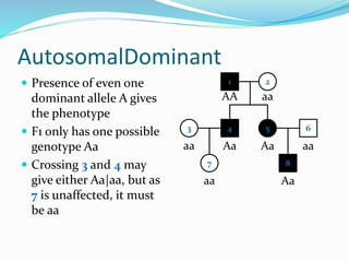 AutosomalDominant
 Presence of even one
dominant allele A gives
the phenotype
 F1 only has one possible
genotype Aa
 Crossing 3 and 4 may
give either Aa|aa, but as
7 is unaffected, it must
be aa
1 2
4 53
7
6
8
AA aa
Aa Aa aaaa
aa Aa
 
