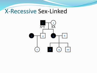 X-Recessive Sex-Linked
1 2
4 53
7
6
8 9 10
XaY XX
 