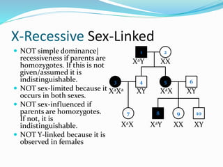 X-Recessive Sex-Linked
 NOT simple dominance|
recessiveness if parents are
homozygotes. If this is not
given/assumed it is
indistinguishable.
 NOT sex-limited because it
occurs in both sexes.
 NOT sex-influenced if
parents are homozygotes.
If not, it is
indistinguishable.
 NOT Y-linked because it is
observed in females
1 2
4 53
7
6
8 9 10
XaY XX
XY XaXXaXa
XaX XaY
XY
XX XY
 