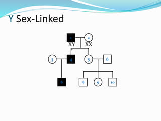 Y Sex-Linked
1 2
4 53 6
8 9 10
XY
*
XX
8
 