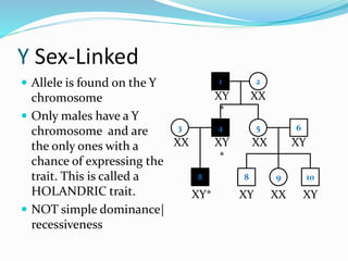 Y Sex-Linked
 Allele is found on the Y
chromosome
 Only males have a Y
chromosome and are
the only ones with a
chance of expressing the
trait. This is called a
HOLANDRIC trait.
 NOT simple dominance|
recessiveness
1 2
4 53 6
8 9 10
XY
*
XX
XY
*
XXXX
XY* XY
XY
XX XY
8
 