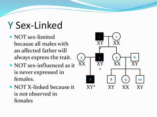 Y Sex-Linked
 NOT sex-limited
because all males with
an affected father will
always express the trait.
 NOT sex-influenced as it
is never expressed in
females.
 NOT X-linked because it
is not observed in
females
1 2
4 53 6
8 9 10
XY
*
XX
XY
*
XXXX
XY* XY
XY
XX XY
8
 