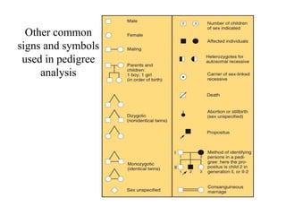Other common
signs and symbols
used in pedigree
analysis
 