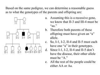 Based on the same pedigree, we can determine a reasonable guess
as to what the genotypes of the parents and offspring are:
a. Assuming this is a recessive gene,
we know that II-3 and III-4 must be
“aa.”
b. Therefore both parents of these
offspring must have given an “a”
allele.
c. So, I-1, I-2, II-4 and II-5 must each
have one “a” in their genotypes.
d. Since I-1, I-2, II-4 and II-5 don’t
have the disease, their other allele
must be “A.”
e. All the rest of the people could be
either AA or Aa.
 