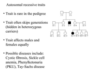 Autosomal recessive traits Trait is rare in the pedigree Trait often skips generations (hidden in heterozygous carriers) Trait affects males and females equally Possible diseases include: Cystic fibrosis, Sickle cell anemia, Phenylketonuria (PKU), Tay-Sachs disease 
