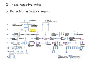 X-linked recessive traits ex. Hemophilia in European royalty 
