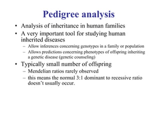 Pedigree analysis Analysis of inheritance in human families A very important tool for studying human inherited diseases Allow inferences concerning genotypes in a family or population  Allows predictions concerning phenotypes of offspring inheriting a genetic disease (genetic counseling)   Typically small number of offspring Mendelian ratios rarely observed this means the normal 3:1 dominant to recessive ratio doesn’t usually occur. 