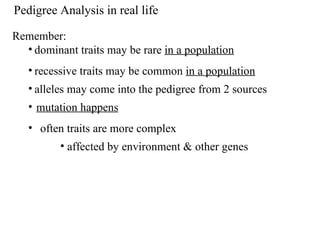 Pedigree Analysis in real life Remember:  dominant traits may be rare  in a population recessive traits may be common  in a population alleles may come into the pedigree from 2 sources mutation happens often traits are more complex  affected by environment & other genes 