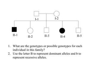 I-1 I-2 II-1 II-2 II-3 II-4 II-5 What are the genotypes or possible genotypes for each individual in this family? Use the letter B to represent dominant alleles and b to represent recessive alleles. 