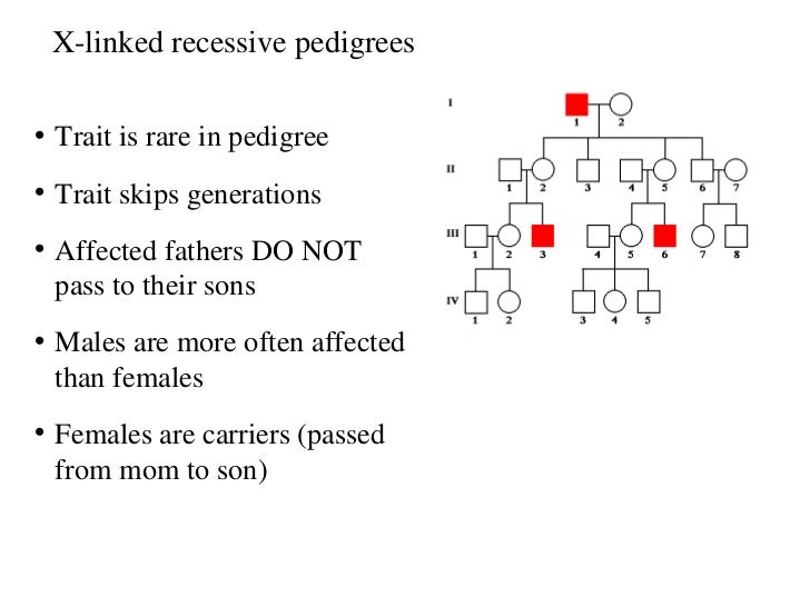 pedigree examples
