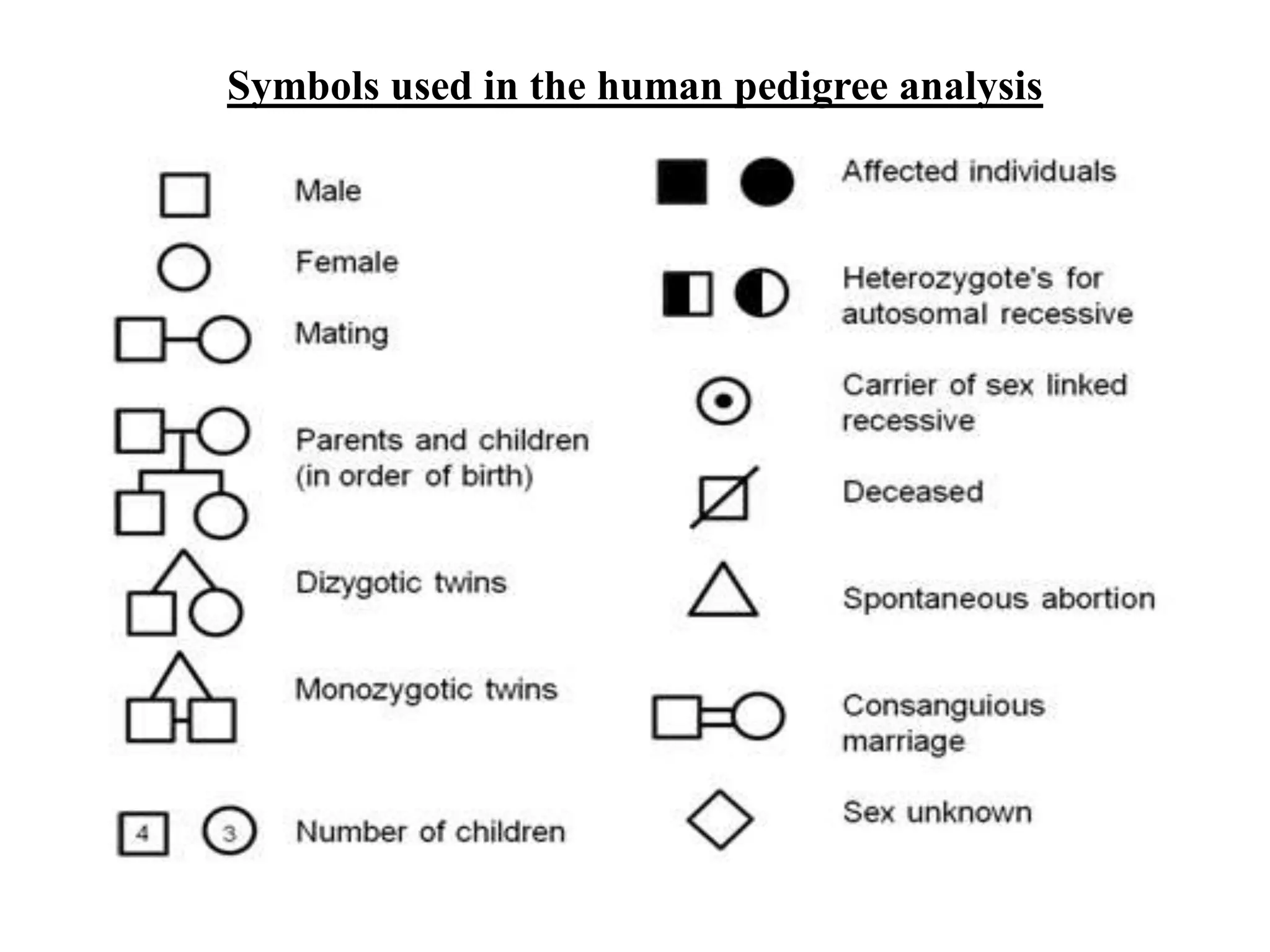 PEDIGREE ANALYSIS.pdf