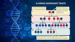 PEDIGREE ANALYSIS: DOMINANT AND RECESSIVE TRAITS | PPTX
