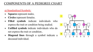 Comprehensive Guide to Pedigree Analysis in Genetics and Inheritance ...