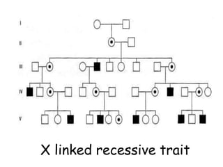 Pedigree Analysis for Studying Inheritance of Genetic Disorders | PPTX