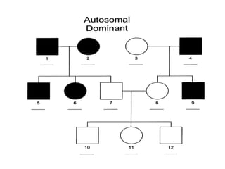 Pedigree Analysis for Studying Inheritance of Genetic Disorders | PPTX