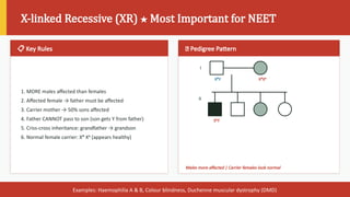 Comprehensive Pedigree Analysis for NEET Biology Mastery | PPTX