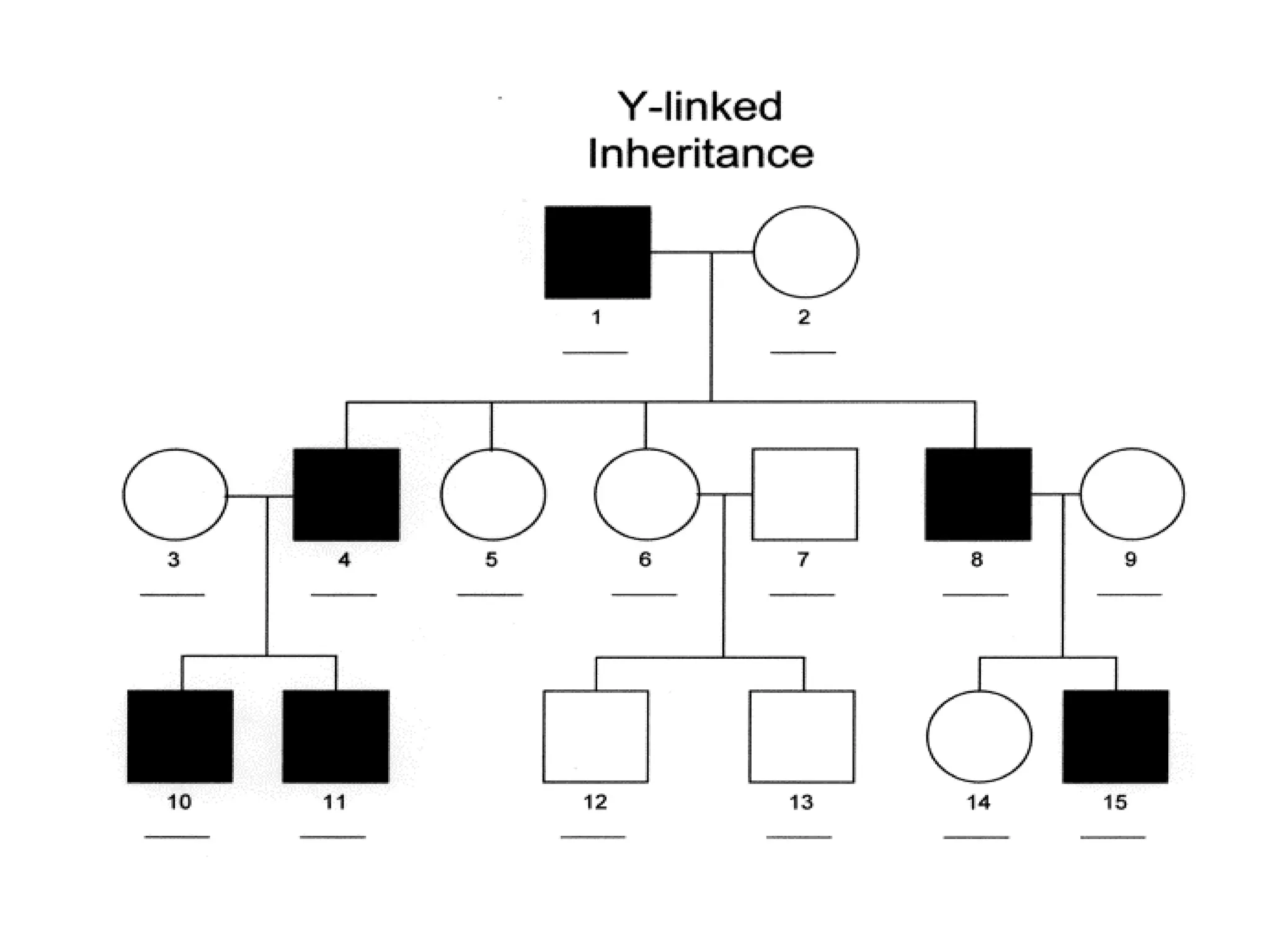 Pedigree analysis presentation PPTX