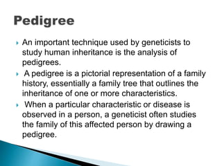  An important technique used by geneticists to
study human inheritance is the analysis of
pedigrees.
 A pedigree is a pictorial representation of a family
history, essentially a family tree that outlines the
inheritance of one or more characteristics.
 When a particular characteristic or disease is
observed in a person, a geneticist often studies
the family of this affected person by drawing a
pedigree.
 