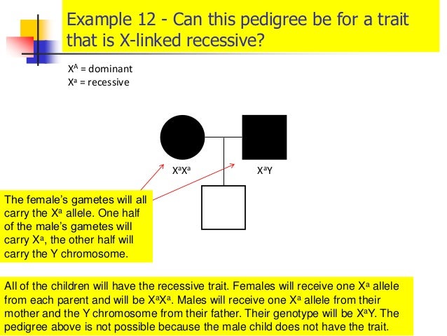 Can A Recessive Trait Be On The Y Chromosome - Gonosomal ...