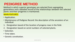 Pedigree and bulk sudha s | PPT