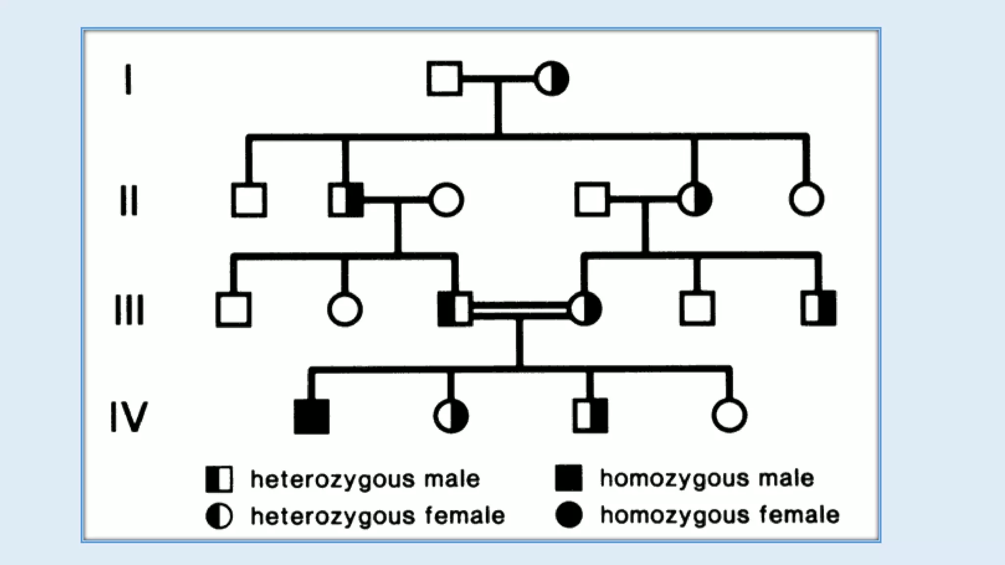 Pedigree chart & autosomal inheritance | PPTX
