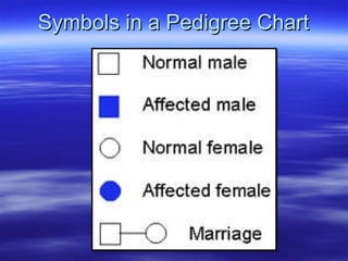 Symbols in a Pedigree Chart 