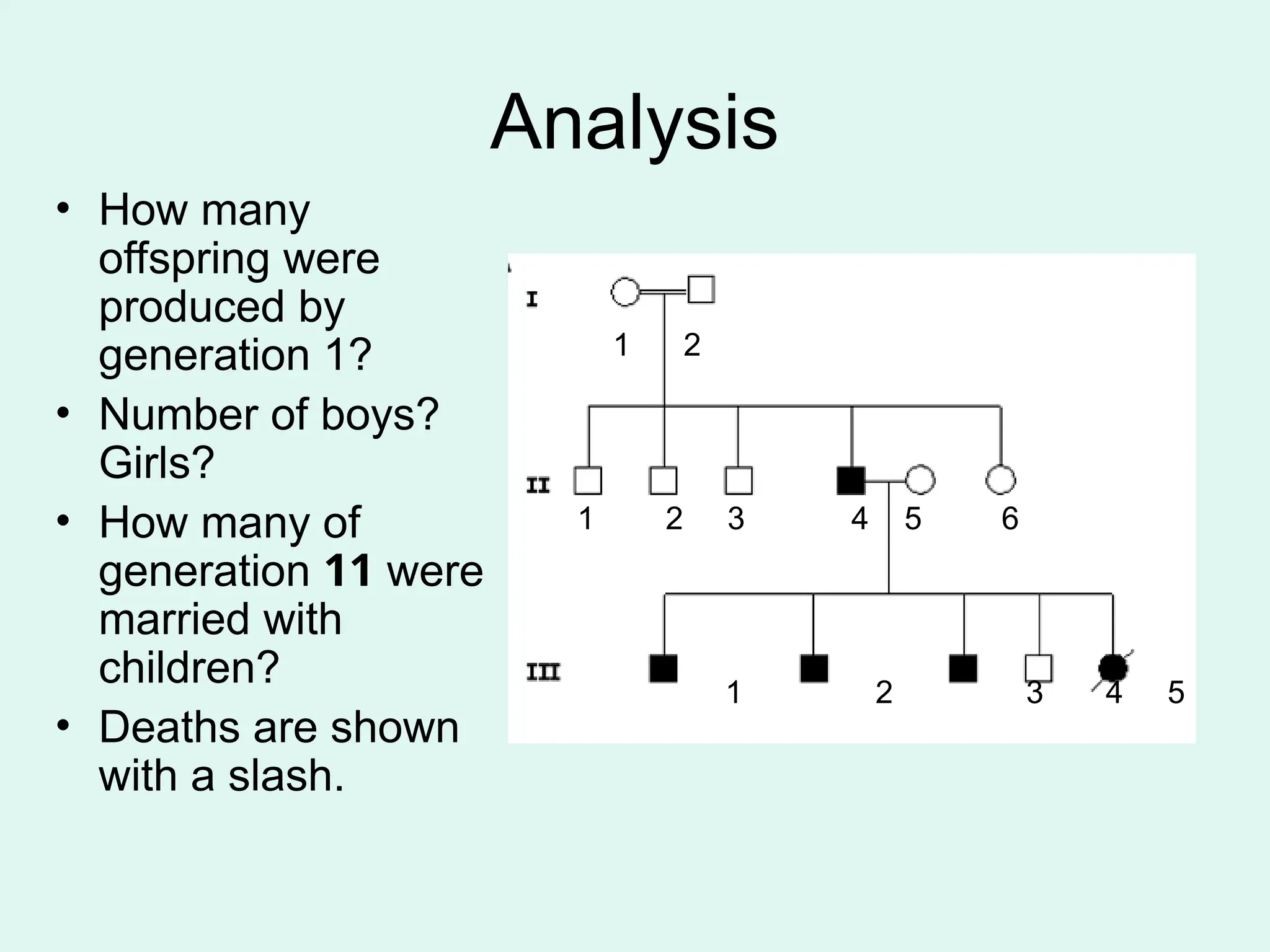 Analysis
• How many
offspring were
produced by
generation 1?
• Number of boys?
Girls?
• How many of
generation 11 were
married with
children?
• Deaths are shown
with a slash.
1 2
1 2 3 4 5 6
1 2 3 4 5
 