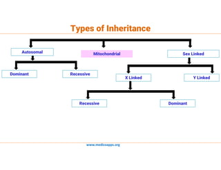 Pedigree charts & analysis | PDF