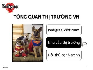 TỔNG QUAN THỊ TRƯỜNG VN

                    Pedigree Việt Nam

                    Nhu cầu thị trường


                    Đối thủ cạnh tranh

Nhóm 4                                   9
 