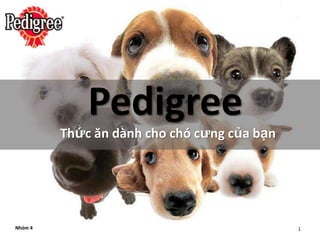 Pedigree
         Thức ăn dành cho chó cưng của bạn




Nhóm 4                                       1
 